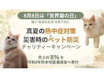 安心リモコン「ReReCo」が「世界猫の日」にちなんで売上の8%を熊本地震義援金へ寄附