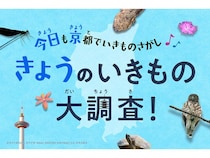 【京都府京都市】開催中「きょうのいきもの大調査」京都市内で自然観察を楽しみながらいきものを探そう