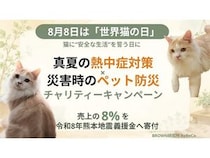 安心リモコン「ReReCo」が「世界猫の日」にちなんで売上の8%を熊本地震義援金へ寄附