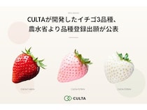 CULTA、開発したイチゴ3品種の品種登録出願が農水省より公表。ギフトにおすすめ