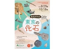 【東京都千代田区】化石掘り体験も開催！千代田区立日比谷図書文化館の特別展「発見された東京の化石」