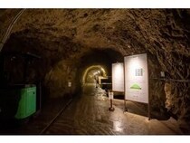 【栃木県那須烏山市】島﨑酒造「洞窟酒蔵」が夏休み特別開館実施中！涼と歴史体験・試飲販売も