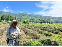 【東京都千代田区】佐賀・脊振山に伝わる「栄西茶」の講演会を開催！日本茶800年の歴史の起源に触れる