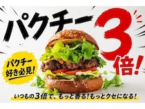 【埼玉県さいたま市】バーガーテラス大宮店で「パクチー3倍祭り」開催！夏限定バーガーのパクチーが3倍に
