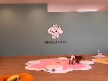 【岡山県岡山市】保護犬猫と出会える出会いと癒やしの場「ANELLA CAFE」が、岡山に3店舗目をOPEN