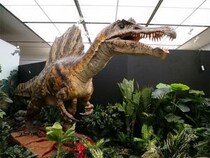 【兵庫県丹波市】たんば恐竜博物館が夏期企画展「バックボーン・オブ・ダイナソー」を開催