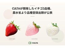 CULTA、開発したイチゴ3品種の品種登録出願が農水省より公表。ギフトにおすすめ