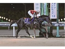 【千葉県船橋市】船橋ケイバ、第6回開催を実施！爽快ミスト迷路やかき氷づくり体験など納涼祭開催も