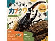 【山口県宇部市】世界中の珍しいカブトムシやクワガタが大集合するイベント開催！食虫植物展も同時開催