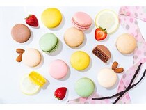 【北海道旭川市】「パティスリーアンジュール2018」コーヒー香る夏の新商品「マカロン・ カフェ」発売