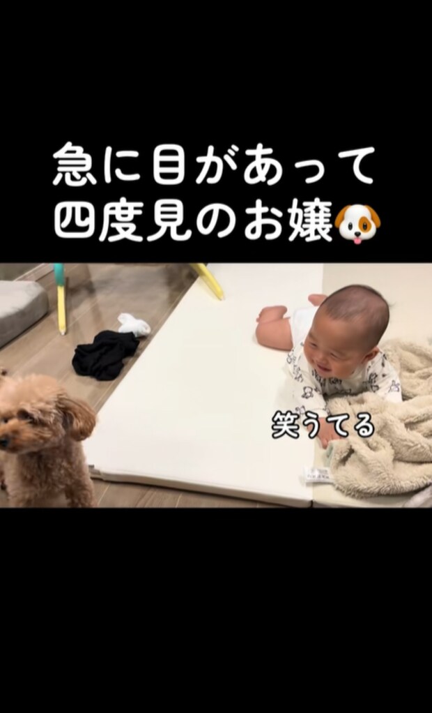 %e3%82%b9%e3%82%af%e3%83%aa%e3%83%bc%e3%83%b3%e3%82%b7%e3%83%a7%e3%83%83%e3%83%88 2025 09 16 232025