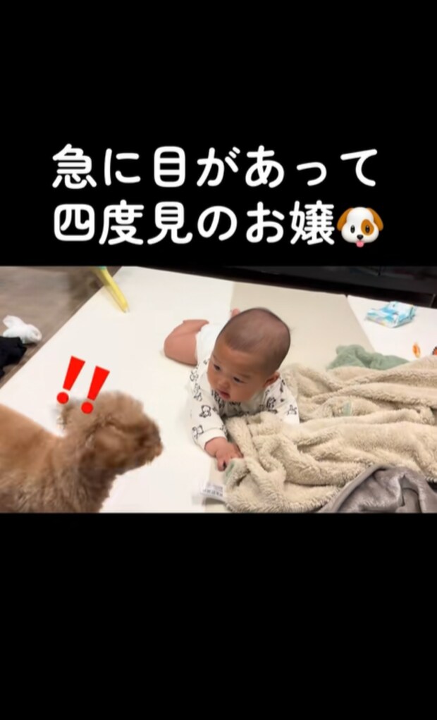 %e3%82%b9%e3%82%af%e3%83%aa%e3%83%bc%e3%83%b3%e3%82%b7%e3%83%a7%e3%83%83%e3%83%88 2025 09 16 232000