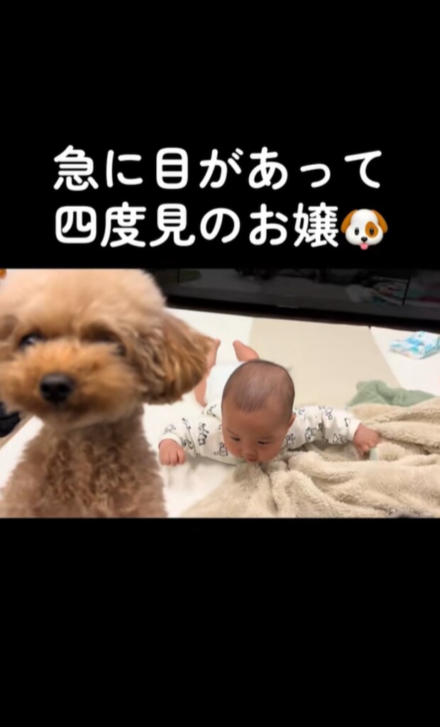 %e3%82%b9%e3%82%af%e3%83%aa%e3%83%bc%e3%83%b3%e3%82%b7%e3%83%a7%e3%83%83%e3%83%88 2025 09 16 231936