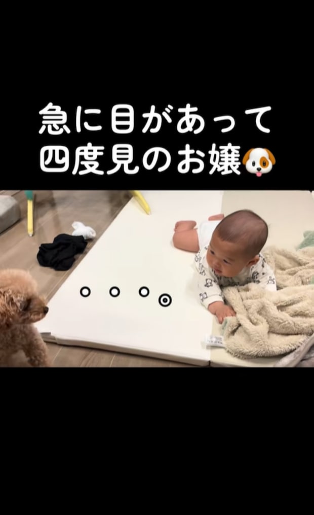 %e3%82%b9%e3%82%af%e3%83%aa%e3%83%bc%e3%83%b3%e3%82%b7%e3%83%a7%e3%83%83%e3%83%88 2025 09 16 232014