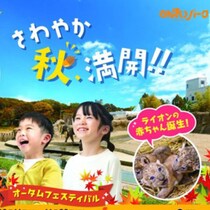 もぐもぐタイムがスペシャル版に！ 赤ちゃんライオン名づけイベントも！ 愛知の「のんほいパーク」でオータムフェスティバル