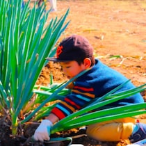 家族で秋野菜を収穫して芋煮を作ろう！遊園地「むさしの村」で「芋煮作り体験」参加予約スタート！