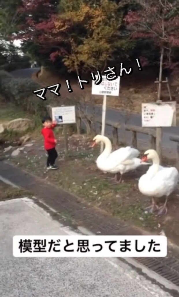 %e3%82%b9%e3%82%af%e3%83%aa%e3%83%bc%e3%83%b3%e3%82%b7%e3%83%a7%e3%83%83%e3%83%88 2025 09 24 203951