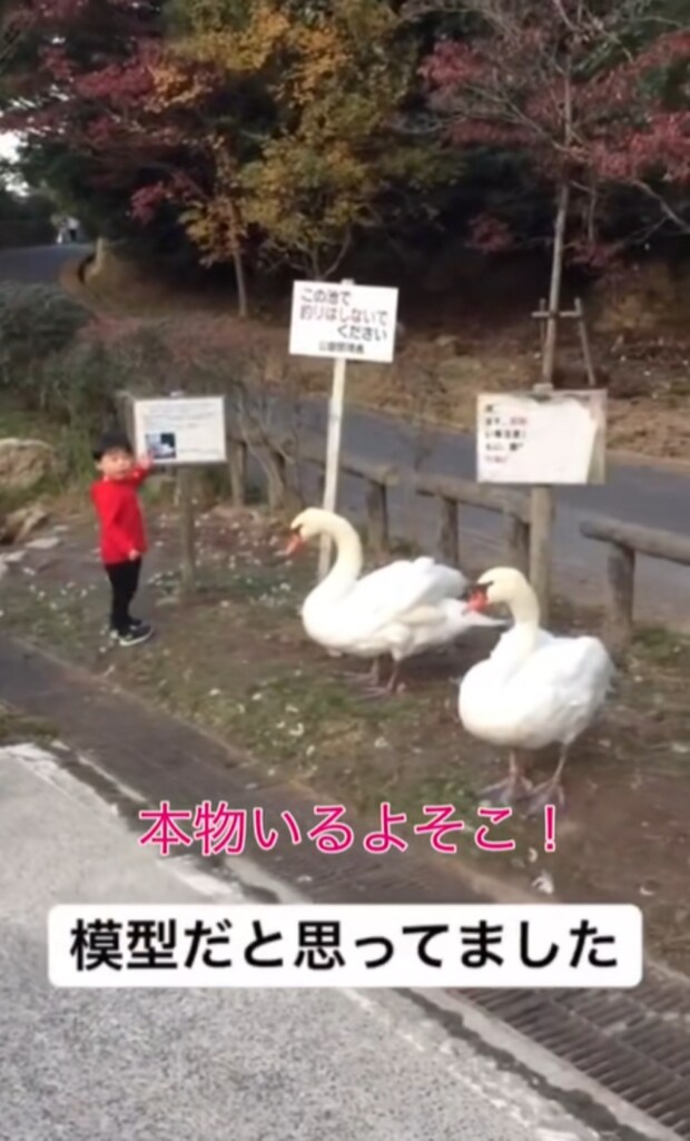 %e3%82%b9%e3%82%af%e3%83%aa%e3%83%bc%e3%83%b3%e3%82%b7%e3%83%a7%e3%83%83%e3%83%88 2025 09 24 204022