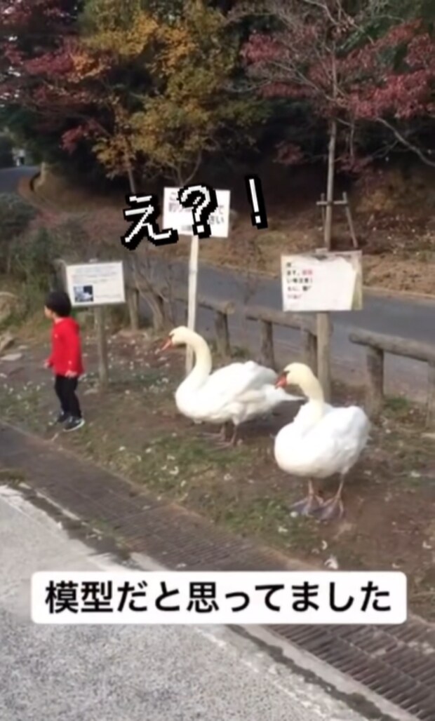 %e3%82%b9%e3%82%af%e3%83%aa%e3%83%bc%e3%83%b3%e3%82%b7%e3%83%a7%e3%83%83%e3%83%88 2025 09 24 204031