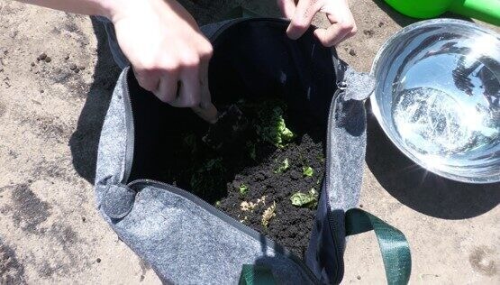 %e3%82%b3%e3%83%b3%e3%83%9d%e3%82%b9%e3%83%88