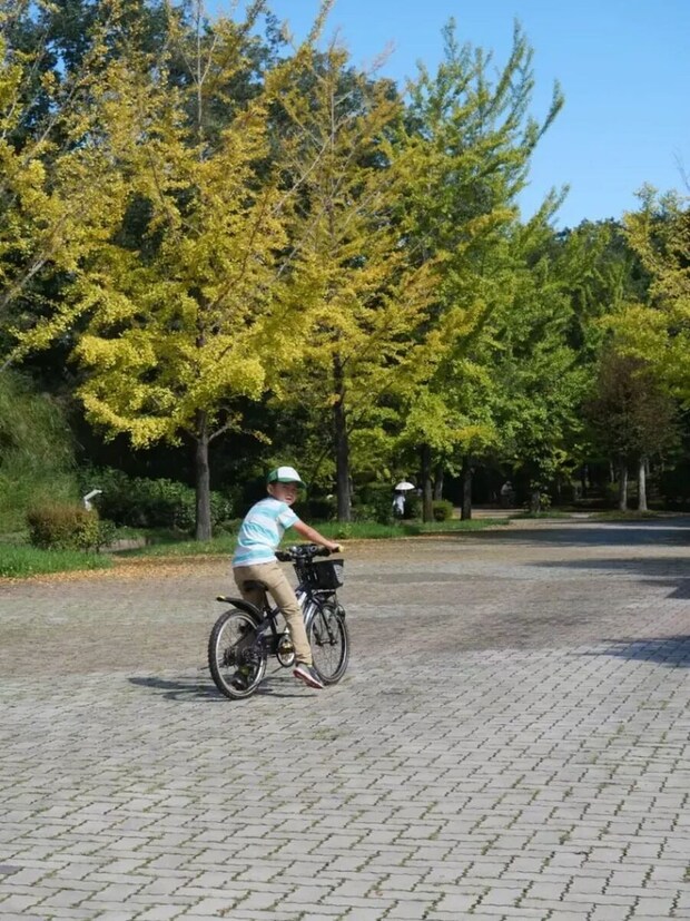 F7a85386 d218 4c0b 9bb8 9c11be34584f scaled