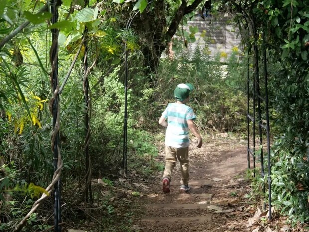 %e3%83%88%e3%83%a9%e3%83%b3%e3%83%9d%e3%83%aa%e3%83%b3%e3%81%b8