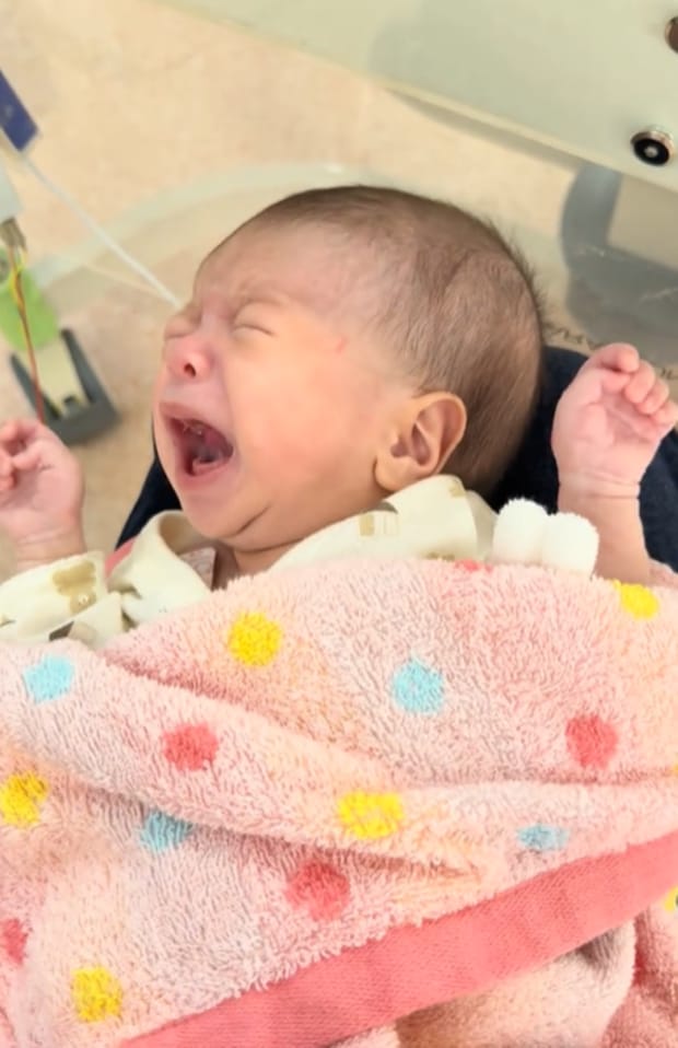 %e3%82%b9%e3%82%af%e3%83%aa%e3%83%bc%e3%83%b3%e3%82%b7%e3%83%a7%e3%83%83%e3%83%88 2025 10 27 142833