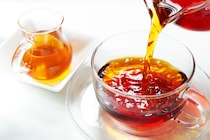 紅茶・緑茶・ウーロン茶の違いって言える？ 約4割が知らない「お茶」のトリビア