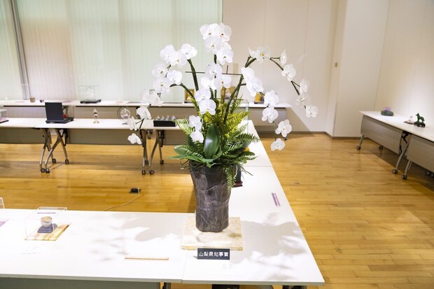 2y8a3741%e3%81%ae%e3%82%b3%e3%83%92%e3%82%9a%e3%83%bc