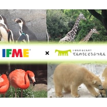 【11/22・23】天王寺動物園と子ども靴の「IFME」がコラボ！ 足型測定会やクイズでプレゼントも♪