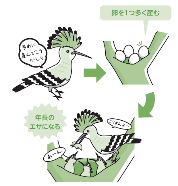 %e7%b8%a6%e9%95%b7 %e4%ba%88%e5%82%99 %e3%81%ae%e3%82%b3%e3%83%92%e3%82%9a%e3%83%bc2