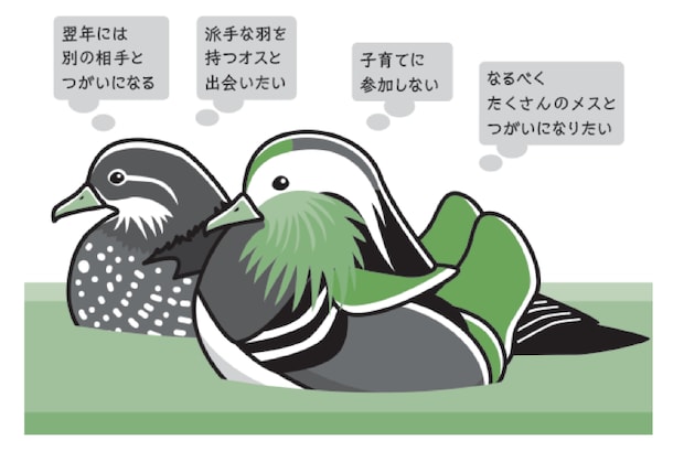 %e7%b8%a6%e9%95%b7 %e4%ba%88%e5%82%99 %e3%81%ae%e3%82%b3%e3%83%92%e3%82%9a%e3%83%bc4