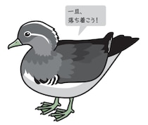 「子どもの約4割が浮気で生まれた子」って…“おしどり夫婦”なのに浮気者!? 自由すぎる鳥の恋愛事情