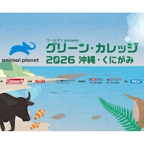【約30名を無料招待】沖縄で子どもだけの2泊3日キャンプ「グリーンカレッジ2026」【新小4～6年生対象】
