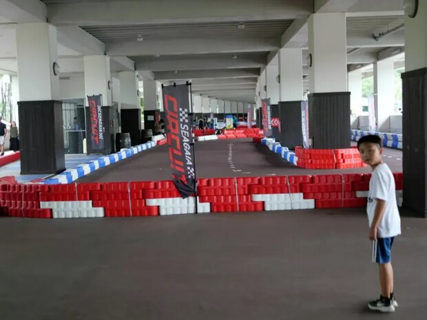 %e3%82%b3%e3%83%bc%e3%82%b9