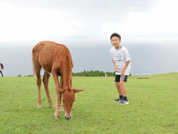 %e9%83%bd%e4%ba%95%e5%b2%ac