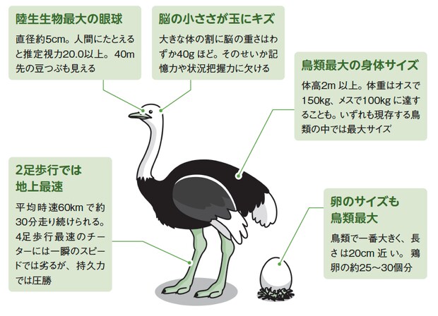 %e7%b8%a6%e9%95%b7 %e4%ba%88%e5%82%99 %e3%81%ae%e3%82%b3%e3%83%92%e3%82%9a%e3%83%bc6