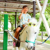 来年の干支は「午（うま）」！むさしの村で「ポニーに乗って年賀状写真を撮ろう！」12/13・14開催