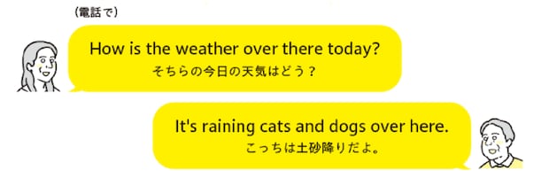 %e7%b8%a6%e9%95%b7 %e4%ba%88%e5%82%99 %e3%81%ae%e3%82%b3%e3%83%92%e3%82%9a%e3%83%bc7