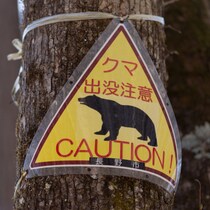 約3割の登山者がクマの目撃経験あり「クマの生息域にお邪魔している意識を持つべき」…「撃退」よりも「会わない」対策を重視