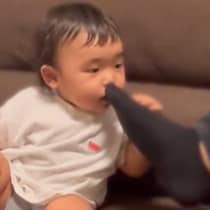 パパの靴下を嗅いだ赤ちゃんの120点満点すぎるリアクション【クセになっちゃった?!】