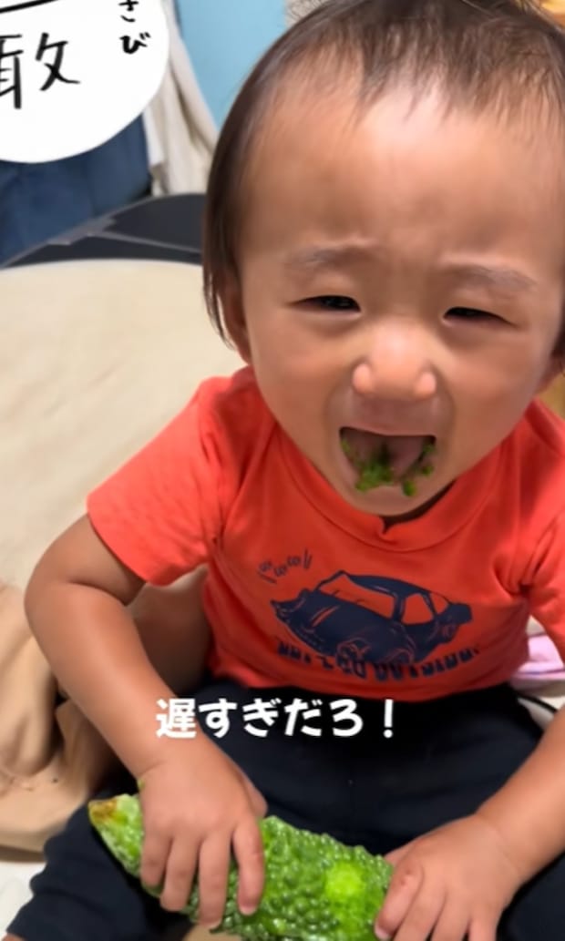 %e3%82%b9%e3%82%af%e3%83%aa%e3%83%bc%e3%83%b3%e3%82%b7%e3%83%a7%e3%83%83%e3%83%88 2025 11 28 110655