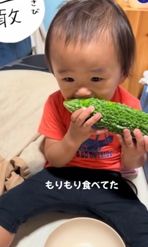 %e3%82%b9%e3%82%af%e3%83%aa%e3%83%bc%e3%83%b3%e3%82%b7%e3%83%a7%e3%83%83%e3%83%88 2025 11 28 110623