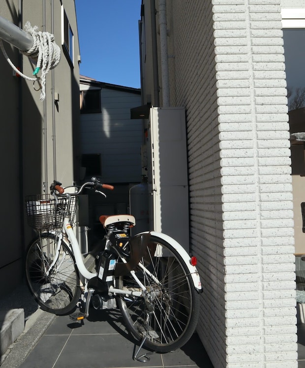 Img 2900%e3%81%ae%e3%82%b3%e3%83%92%e3%82%9a%e3%83%bc