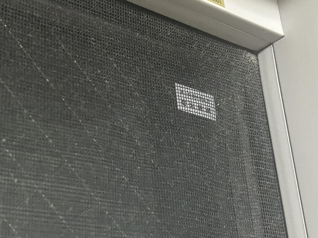 Img 8867%e3%81%ae%e3%82%b3%e3%83%92%e3%82%9a%e3%83%bc