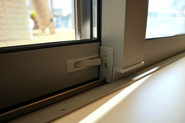 Img 2910%e3%81%ae%e3%82%b3%e3%83%92%e3%82%9a%e3%83%bc