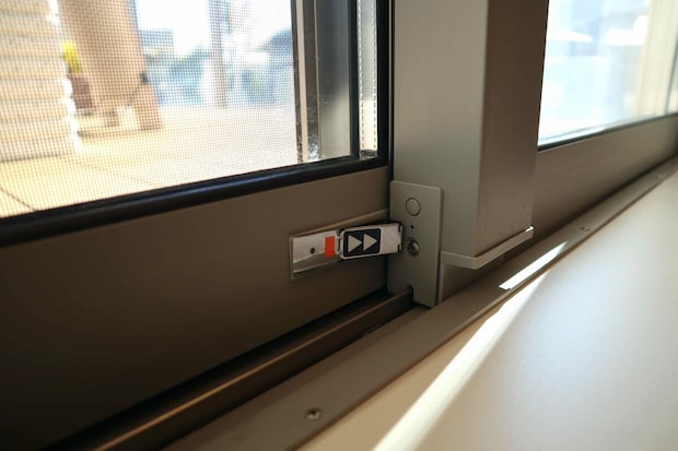 Img 2912%e3%81%ae%e3%82%b3%e3%83%92%e3%82%9a%e3%83%bc