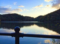 家族で池を散策中、3歳の息子が突然いなくなってしまった！ 懸命に探していると…… #「ありがとう」を伝えたい