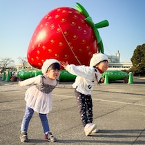 【祝57周年★1/17-18は入園無料】むさしの村がいちごまみれ！いちご狩りに食べ比べ、巨大いちごフォトスポットも登場