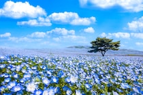 子どもと楽しめる！　親子で行きたい茨城県の工場見学7選